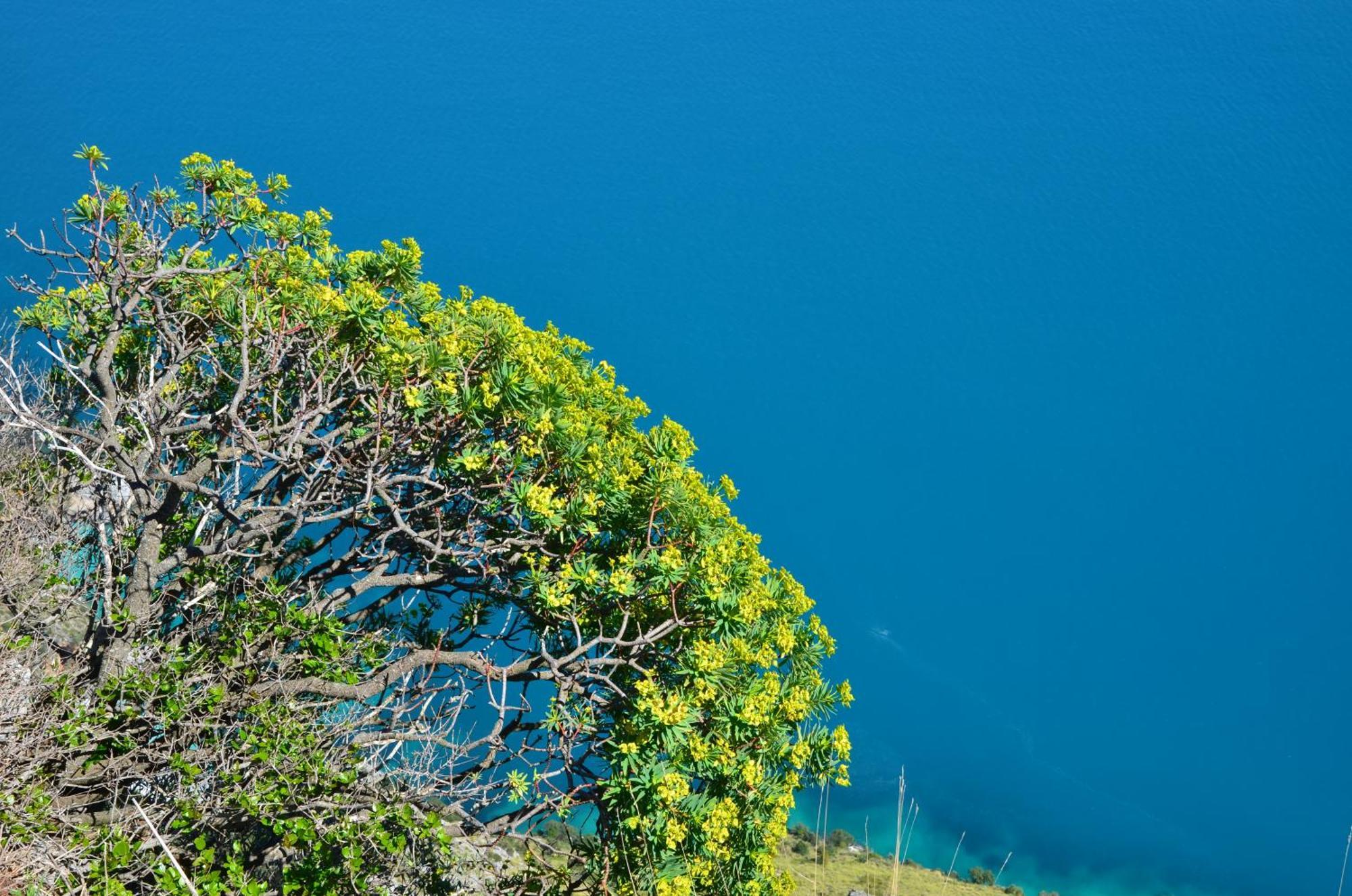 Tre Borghi Villa San Giovanni a Piro Dış mekan fotoğraf